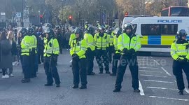 Police circle, arrest protesters after skirmishes at Parliament Square on Armistice Day
