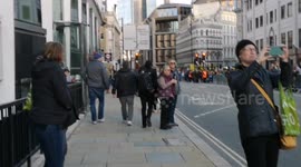 A cat watches the new Lord Mayor if the City Of London. Could it be a descendent of Dick Whittingtons cat