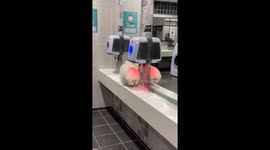 Canine conundrum: Paju pup cracks the dryer code