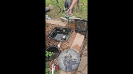 Courageous woman gets snake out of Koi Pond to help husband