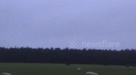 Murmuration  of Starlings at Rough Tor UnCut today, i just filmed this at 4.30 pm, trillions of the fluffy friends looking for a roost 4