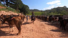 vaqueira andando em seu cavalo e cantando uma toada em um domingo lindo de sol
