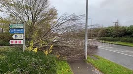 Met Eireann issue red warning as Storm Debi arrives in Dundalk, Ireland