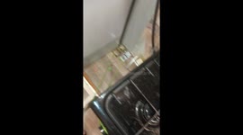 Persistent rat evasion: a week-long battle on the 4th floor in Polotsk, Belarus