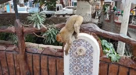 Centennial restaurant in Algeria survives demolition thanks to Chinese company's adjustments to highway project