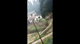 Archer makes incredible long range shots at thin piece of wood