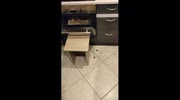 temp