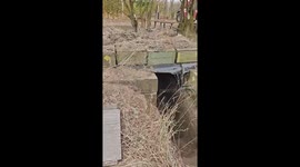 Video reveals former Russian army trench in Kherson, Ukraine, now home to puppies