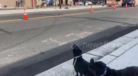Dog sings along with fire truck sirens at Veterans Day Parade in Brigantine, USA
