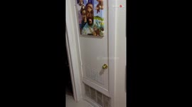 Man narrates story of how a kitten found its way from his closet to his heart