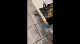 Tiny Thief Knows What's Hers