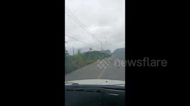 Flight of swallows perish in sudden cold snap in China