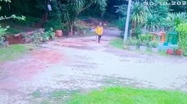 Exhausted forager 'lost in Thai forest for two days' trudges toward local's house to call for help