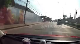 Kind motorist stops car mid-traffic to save kitten