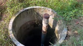 Wildlife rescue team pull out turtle trapped in 30ft well