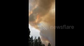 Bushfire burns through more than 16,000 hectares in Australia's New South Wales