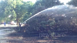 Fire Being Put Out On Wanstead Flats