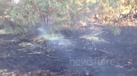 Ground Smoulders After Fire