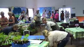 Ugborough's new Sustainable Saturday Market