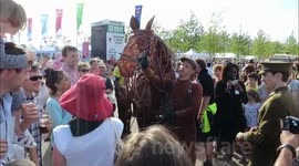 War Horse Pays a Visit