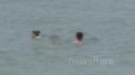 July 31 in South Devon on Torcross beach and in Dartmouth