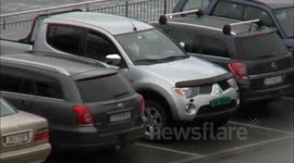 Impatient dog honks car horn