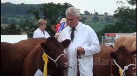 The Mid Devon Show 2013