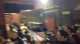 kings of leon shpeherds bush