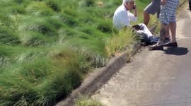 ARCHIVE: Dick Van Dyke crashes car into a gate in Malibu on wet roads