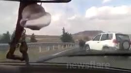 Escaped bull Iriépal 2013