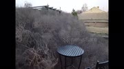 temp