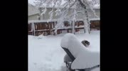 temp