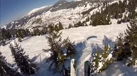 Speed rider crashes into tree