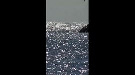 Whales dancing and slamming there tales on the ocean at Isla Isabel Mexico