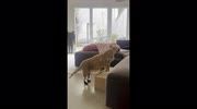 temp