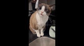 ❤️ Nina ❤️ drinking water