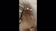 temp