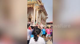 Buddhist monk goes on amusing rodeo ride for ordination