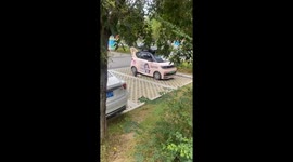 Heartwarming Meeting: Stray Poodle Passionately Runs Towards Girl Who Feed it in Southern China