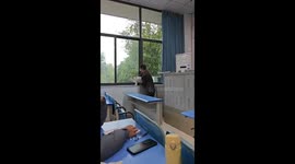 Feline classroom intruder receives a gentle shooing out in southwest China