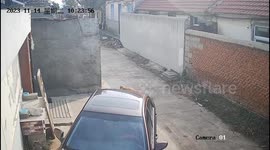 Adorable Wheelchair-Bound Pup Joins Playful Dog Pack Running in Eastern Chinese Countryside