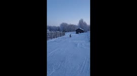 Beautiful Reindeer's Adorable Happy Prance
