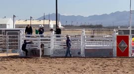 Man's Barehanded Calf Takedown at 'Riders of the West' Equestrian Event in Daggett, USA
