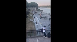 Labrador Retriever tries in vain to reach a ball on steps