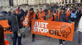 Police arrest Just Stop Oil activists in Whitehall