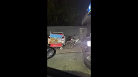 Bicycle-bound pooch: patiently waiting with teddy co-pilot