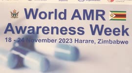 Zimbabwe officials call for concerted efforts in combating antimicrobial resistance