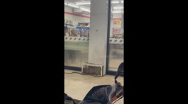 Terrifying moment snake slithers into supermarket in Thailand