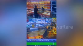 Cat clambers on gold shop's iron bars to escape like burglar
