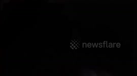 ASMR Eating Cat is so crunchy and make it calm with inhale exhale